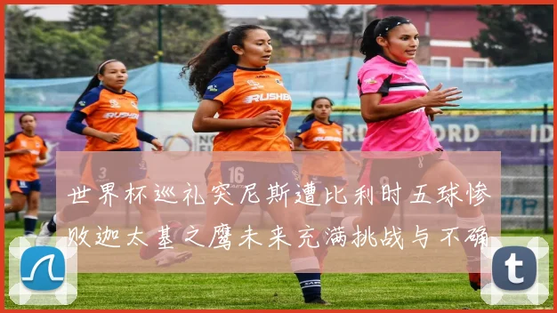 世界杯巡礼突尼斯遭比利时五球惨败迦太基之鹰未来充满挑战与不确定性
